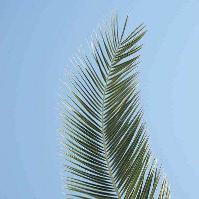 爱心彩票Welcome彩票中心