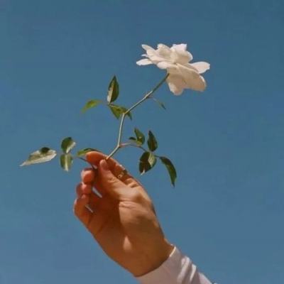 大发彩票www官方网址版